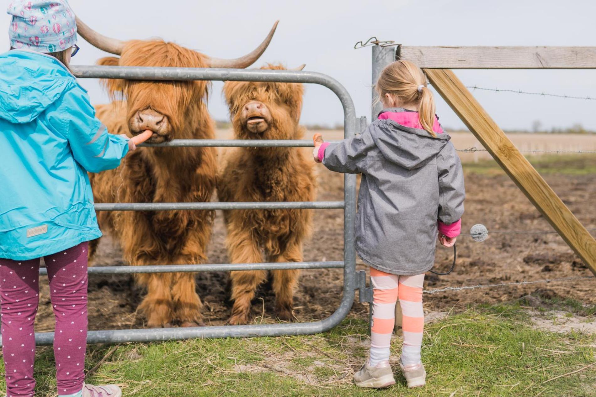 Buedlfarm - Der Familien-Erlebnishof In Strandnaehe เฟมาร์น ภายนอก รูปภาพ