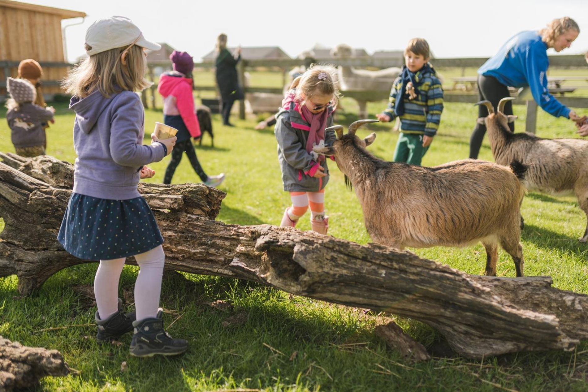 Buedlfarm - Der Familien-Erlebnishof In Strandnaehe เฟมาร์น ภายนอก รูปภาพ